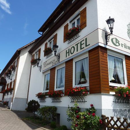 Hotel Landgasthof Gruner Baum Hochdorf  Luaran gambar