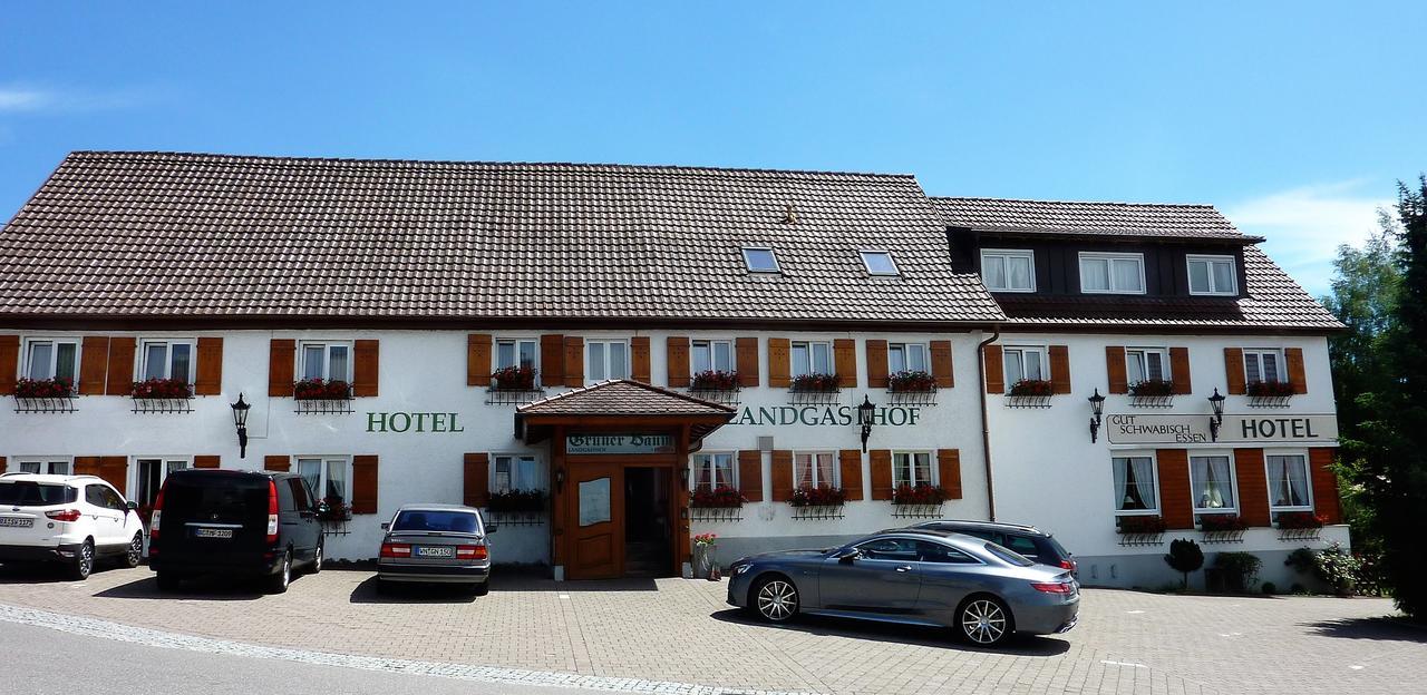 Hotel Landgasthof Gruner Baum Hochdorf  Luaran gambar