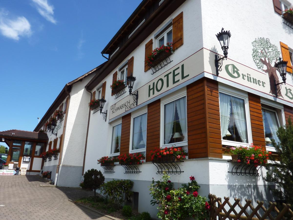 Hotel Landgasthof Gruner Baum Hochdorf  Luaran gambar